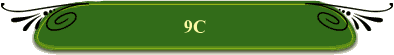 9C