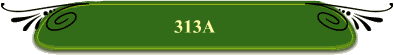 313A