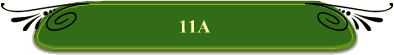 11A