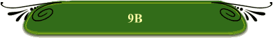 9B